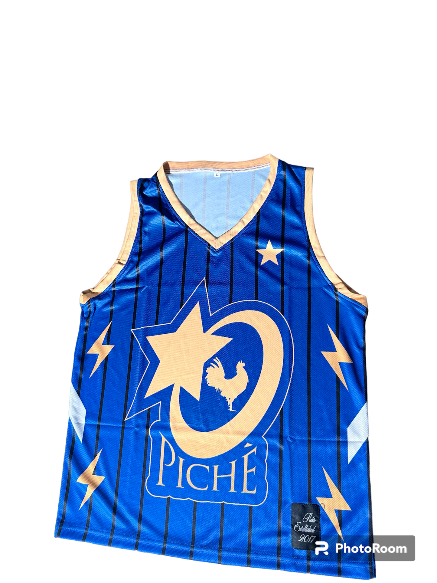 Blue  Pichè Jersey